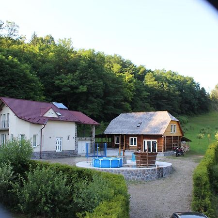 La Cretu Villa Rozavlea Екстериор снимка